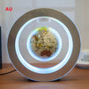 Round LED World Map Floating Globe Magnetic Levitation - Zxsetup