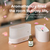 Drop Shipping Factory Direct Sale Fire Flame Humidifier Aroma Diffuser 2022 Air Essential Oil Ultrasonic Humidifier - Zxsetup